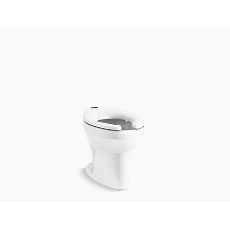 Kohler Ultra Floor-Mounted Top Spud Flushometer Bowl W/ Bedpan Lugs 96053-L-0